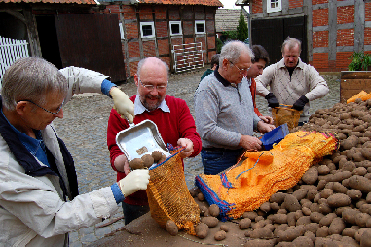 CDU und FDP beim gemeinsamen Kartoffeleinsacken für die Quakenbrücker Tafel.